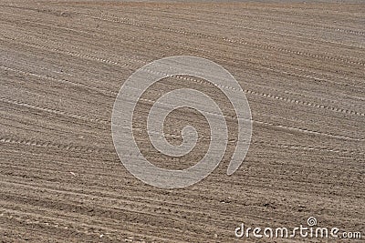 Beautiful smooth rows of plowed agricultural field. plowed field before sowing crops, barley, rye, wheat Stock Photo