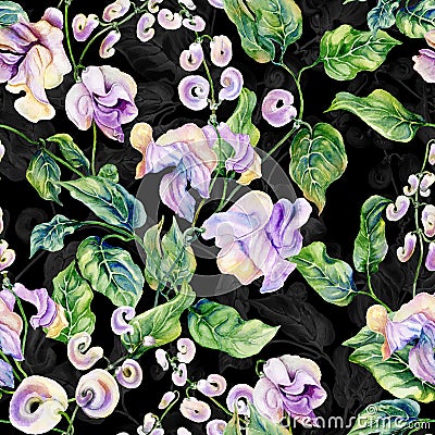 Beautiful snail vine twigs with purple flowers on black background. Seamless floral pattern. Watercolor painting. Hand painted Cartoon Illustration