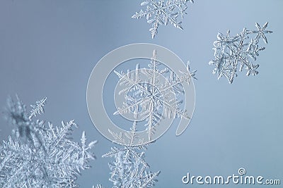 Beautiful snow flake on a light blue background close up Stock Photo