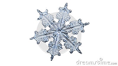 Beautiful snow flake on a light white background close up Stock Photo