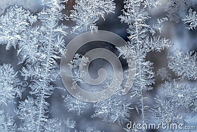 Beautiful snow patterns, water ornaments on transparent glass.Christmas snowflakes. Stock Photo