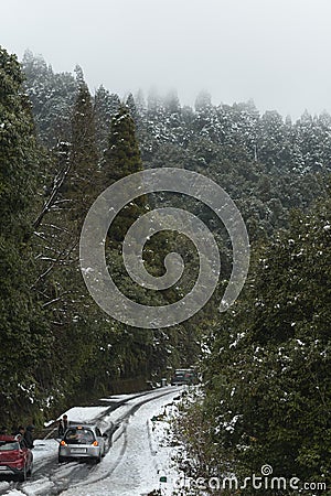 Beautiful snowfall - Beautiful snow fall Stock Photo