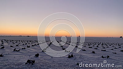 Beautiful snowy field after the passage of the storm Filomena, leaving a very beautiful winter landscape at dawn. Stock Photo