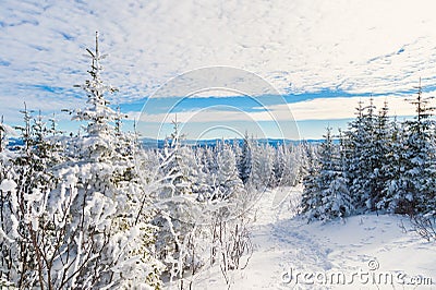 Beautiful snowy landscape in Quebec, Canada Stock Photo