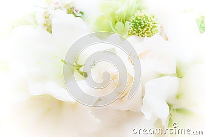 Beautiful soft focus flower with morning sunlight background., w Stock Photo