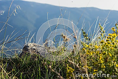 Beautiful soft focus local natural scenic soft focus macro shot of stone and grass wilderness mountain environment with unfocused Stock Photo