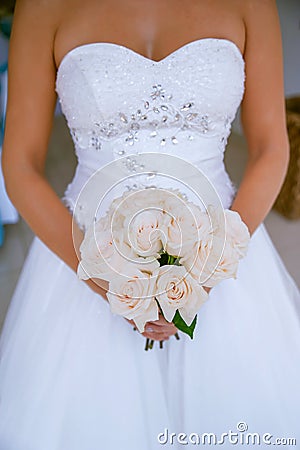 Beautiful, sophisticated bride wearing a ballgown style dress and holding a round pink roses bouquet, Stock Photo