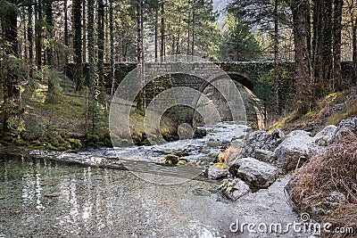 Beautiful source of kamniska bistrica, slovenia, with a bridge Stock Photo