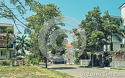 Beautiful south street with trees flowers Stock Photo