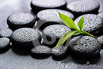 Beautiful spa background of green branch bamboo on zen basalt st Stock Photo