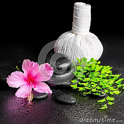 beautiful spa background of pink hibiscus flower, leaf fern, thai herbal compress ball and stones with drops, closeup Stock Photo