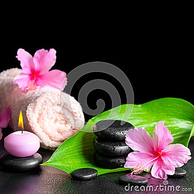 Beautiful spa background of pink hibiscus flowers, green leaf, c Stock Photo