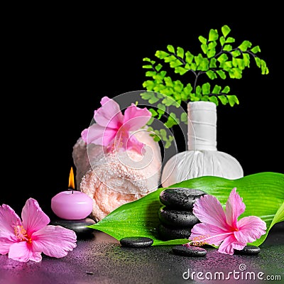 Beautiful spa composition of pink hibiscus flower, leaf fern, th Stock Photo