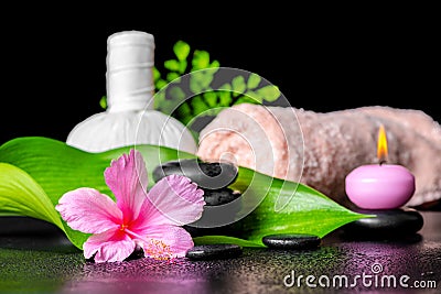 Beautiful spa concept of pink hibiscus flower, leaves, thai herb Stock Photo