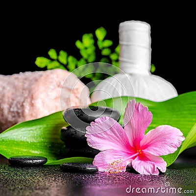 Beautiful spa concept of pink hibiscus flower, leaves, thai herb Stock Photo