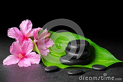 Beautiful spa concept of pink hibiscus flowers, green leaf and s Stock Photo