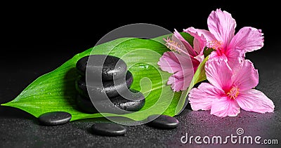 Beautiful spa concept of pink hibiscus flowers, green leaf and s Stock Photo