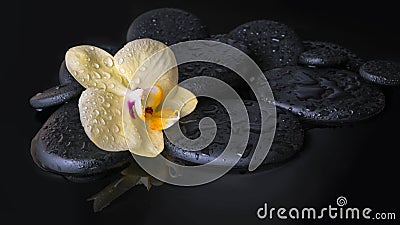 Beautiful spa set of yellow orchid (phalaenopsis), zen stones Stock Photo