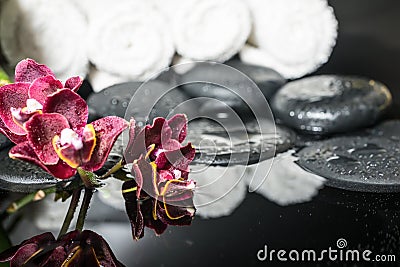 Beautiful spa setting of zen stones with drops and blooming twig Stock Photo