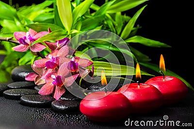 beautiful spa still life of blooming twig red orchid flower, phalaenopsis, bamboo with dew and candles on zen basalt Stock Photo