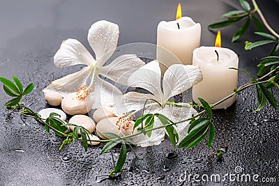 Beautiful spa still life of delicate white hibiscus, twig passionflower, stones with drops, candles on black background, closeup Stock Photo