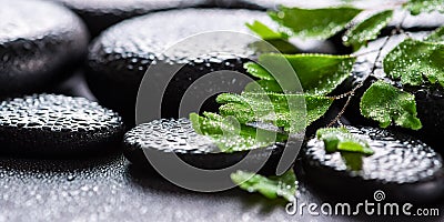 beautiful spa still life of green twig Adiantum fern on zen basalt stones with drops, panorama Stock Photo