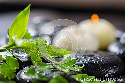 Beautiful spa still life of green twig fern, bamboo, ice and ca Stock Photo