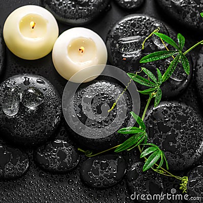 beautiful spa still life of green twig passionflower with tendril, ice and candles on zen basalt stones with drops, closeup Stock Photo