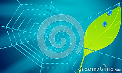 Beautiful spiderweb with leaf and waterdrop Vector Illustration