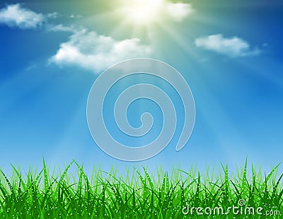 Beautiful Spring background Vector Illustration