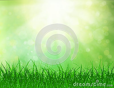 Beautiful Spring background Vector Illustration