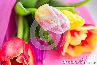 Beautiful spring bouquet of multicolored tulips. Close up, soft focus Stock Photo