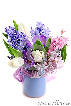 Beautiful spring flowers Stock Photo