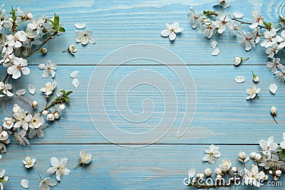 Beautiful spring flowers as borders on light blue wooden background, flat lay. Space for text Stock Photo