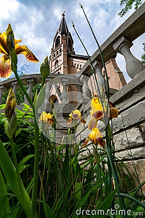 Blooming flowers and church Stock Photo