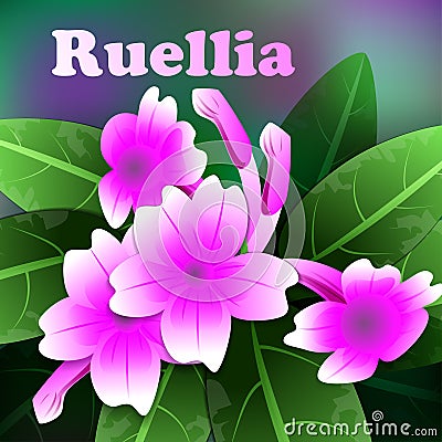 Beautiful spring flowers purple ruellia. Cards or your design with space for text. Vector Vector Illustration