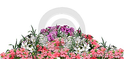 Beautiful spring flowers Cartoon Illustration