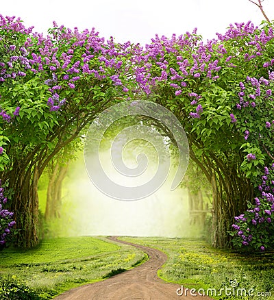 Beautiful landscape.Lilac trees in blossom Magic forest with road. Fantasy background Stock Photo