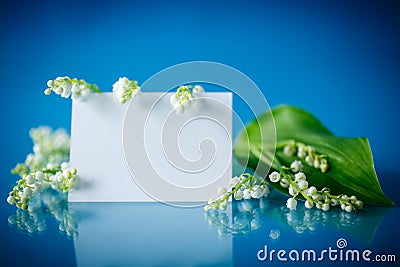 Beautiful spring lilies with a blank Stock Photo