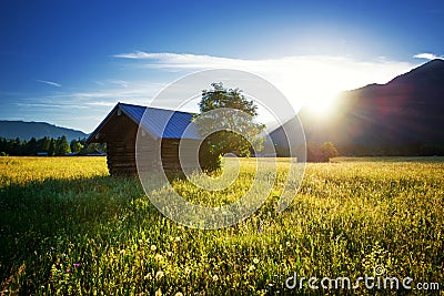 Beautiful spring meadow. Sunny clear sky with hut in mountains. Colorful field full of flowers. Grainau, Germany Stock Photo