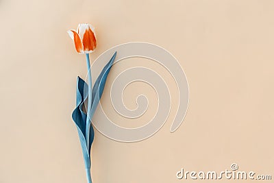 Beautiful spring pink tulip floral pastel yellow color background with copy space. Top view. Objects on a simple background. Toned Stock Photo