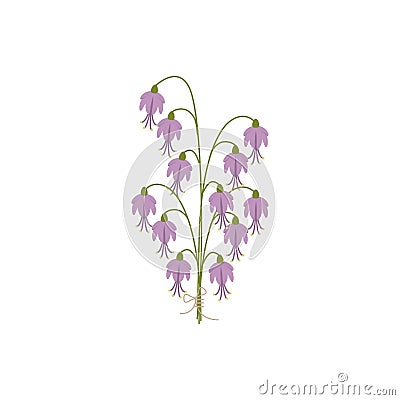Beautiful spring violet flower bluebell. Vector Illustration