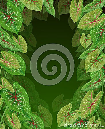 Beautiful Square Ivy Plant Frame Cartoon Stock Photo