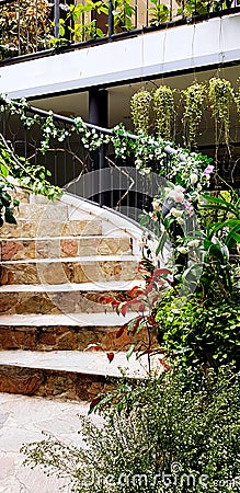 Beautiful stairway decorated with beautiful flowers, green leave, vine and creeper tree for background Stock Photo