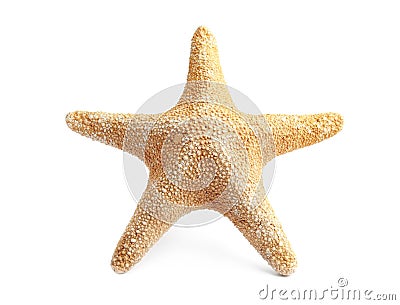 Beautiful starfish on white background. Beach Stock Photo