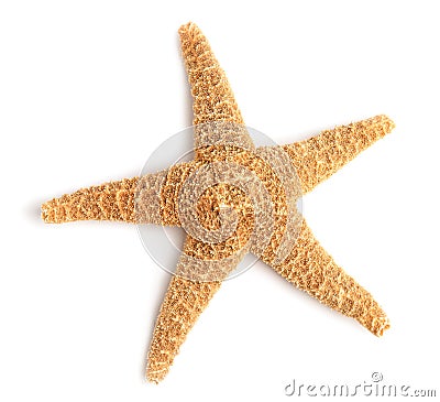 Beautiful starfish on white , top view. Beach object Stock Photo