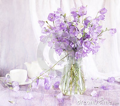 Beautiful still life with bell flowers Stock Photo
