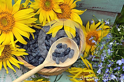 Beautiful still life with sunflowers and blue berry in the garden. Stock Photo