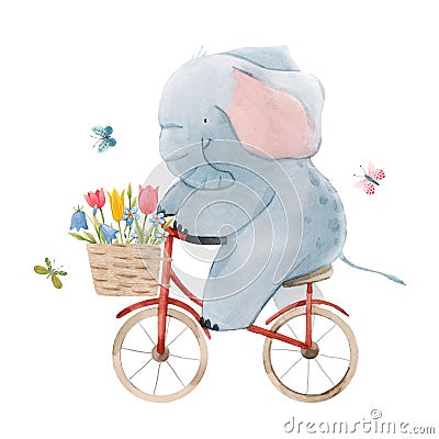 Beautiful stock illustration with cute watercolor baby elephant on bike. Animal with bicycle hand drawn painting. Cartoon Illustration