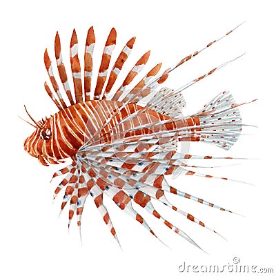 Beautiful stock illustration with watercolor hand drawn lion fish. Cartoon Illustration